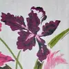 JoAnn Amos - @joann.amos - TikTok