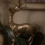 Joann Andrews - @joannandrews35 - Instagram