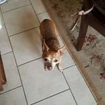 JoAnn Avery - @joann.avery - Instagram