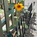 Joann Locklear Barnard - Facebook