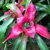 Joan Barney Donovan - @joan.barney.donov - TikTok