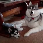 Joann Barnhart - @joann.barnhart.98 - Instagram