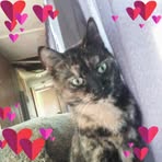 Joanne Barnhart - Facebook
