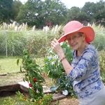 Joann Barry - @jodybkat - Instagram