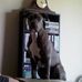 Jo Ann Beard - Facebook