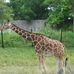 Joann Beard - Facebook