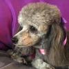 JoAnn Benoit692 - @user7767530180928 - TikTok
