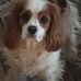 Joann Benoit - Facebook
