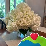 JoAnn Benoit - @joannbenoit6 - Instagram