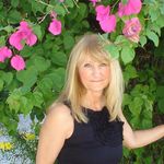 Joann Maccarone Bernstein - @thewavinggoldcat - Instagram