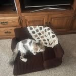 JoAnn Bills - @joannmadeit - Instagram