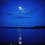 Joann Birdsall - @birdsalljoann - Instagram