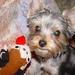 JoAnn Blackwell - @joann.blackwell.3 - Instagram