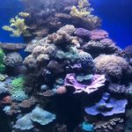 Joann Bliss - @blissasinhappy - Instagram