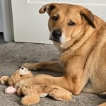 JoAnn Bloom - @joancestry - Instagram