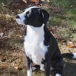 JoAnn Bloom - @joannbloom76 - Instagram