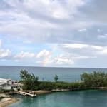 Joann Bloomfield - @joann.bloomfield - Instagram