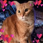 Joan Bolden - @joanbolden - Instagram