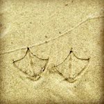 Joann Bolden - @flashmomcheerup - Instagram