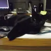 joannbolden461 - @joannbolden461 - TikTok