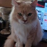 Joann Boone - @joannboone115 - Instagram