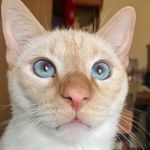 Joanne Boone - @unclecoconutfanclub - Instagram