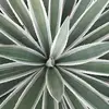 Joann Booth - @joann.booth6 - TikTok