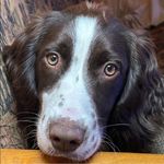 Joan Boyce - @boyce.joan - Instagram