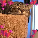 Joan Boyce - @joan.boyce.5074 - Instagram