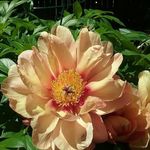 Ann McKee - @joann.bragg.35 - Instagram