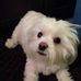 JoAnn Branch - Facebook