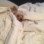 Jo-Ann Brandon Nicholson - @joannnicholson40 - Instagram