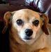 Joann Bright - Facebook