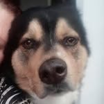 Joanne Louise Bright - @morleyjoanne6 - Instagram
