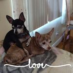 Jo Ann Brockman - @joann.brockman.12 - Instagram