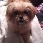 Joann Brock - @joann.brock.188 - Instagram