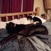 Joann Brock - Facebook