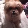 joannbrock428 - @joannbrock428 - TikTok