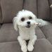 Joan Burnham - Facebook