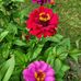 Joann Batten Burnham - Facebook