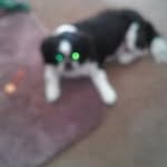 Joann Burton - @joann.burton.7547 - Instagram