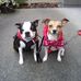 Joanne Burwell - Facebook