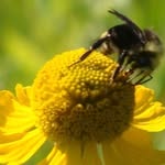 Joanne Burwell - @joanne.burwell.73 - Instagram