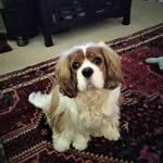 JoAnn Carlino - @joanncarlino - Instagram