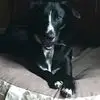 JoAnne Carlin - @joanne.carlin - TikTok