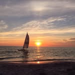 JoAnn Quatroche Carson - @joann.q.carson - Instagram
