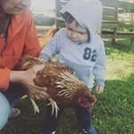 JoAnn Minton-Case - @jmintoncase - Instagram