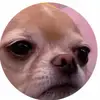 JoAnne Case - @joannecase - TikTok