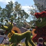 JoAnn Casey - @magicalvacationplannerbyjoann - Instagram