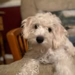JoAnn Michelfelder Christopher - @joannmichelfelder - Instagram